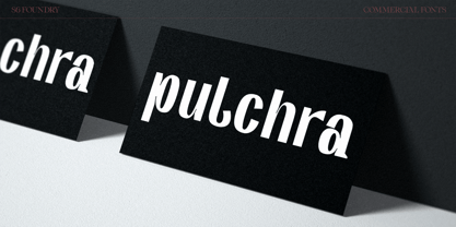 Pulchra SPF Font Poster 13