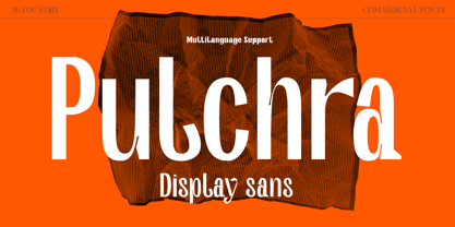 Pulchra SPF Font Poster 1