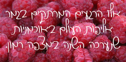Avshalom MF Font Poster 10