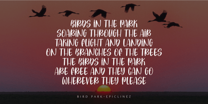 Bird Park Font Poster 2