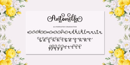 Antonella Font Poster 5