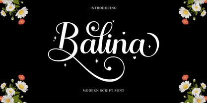 Balina Font Poster 1