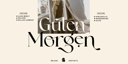 Belgan Aesthetic Font Poster 2