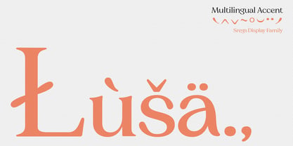 Sregs Serif Display Font Poster 6