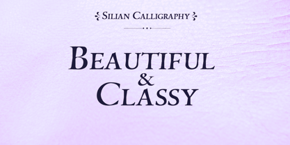 Silian Calligraphy Font Poster 3