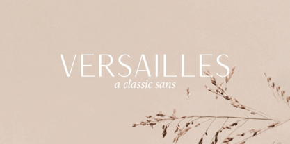 Versailles JW Font Poster 1