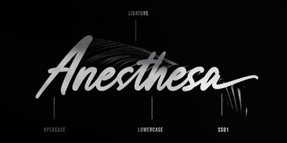 Anesthesa Font Poster 6