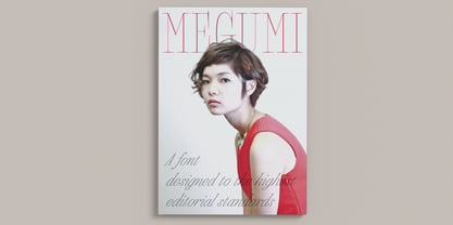 Megumi Font Poster 1