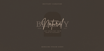 Brittany Signature Font Poster 8