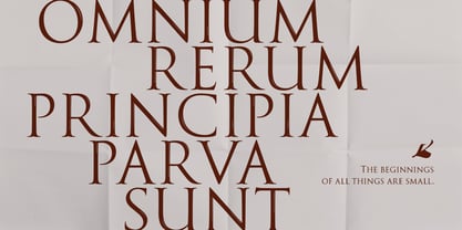 PKG Roman Capitals Font Poster 6