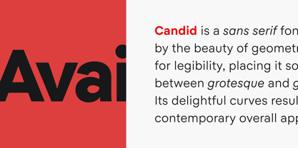 Candid Font Poster 3
