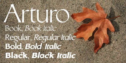 Arturo Font Poster 3