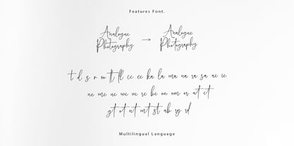 Analogue Photography Font Poster 10