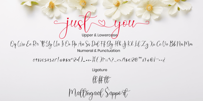 Just You Font Poster 7
