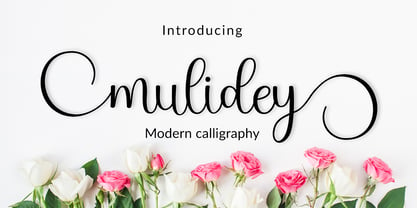 Mulidey Font Poster 1