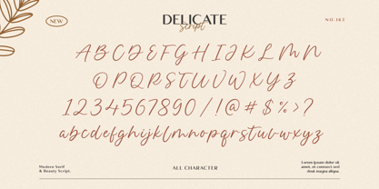 Delmon Delicate Font Poster 10