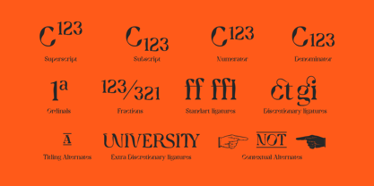 TA Charged Font Poster 10