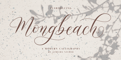 Mongbeach Script Font Poster 1