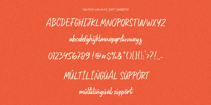Together Whenever Font Poster 7