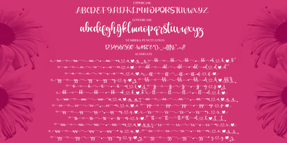 Love Moment Font Poster 11