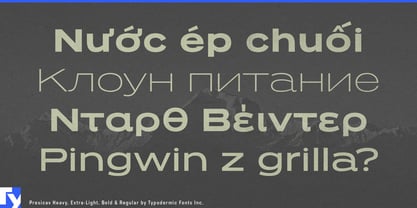 Presicav Font Poster 4