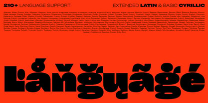 Cy Grotesk Fuente Póster 11