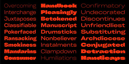 Cy Grotesk Font Poster 9