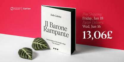 Calvino Font Poster 9