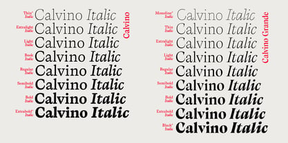 Calvino Font Poster 4