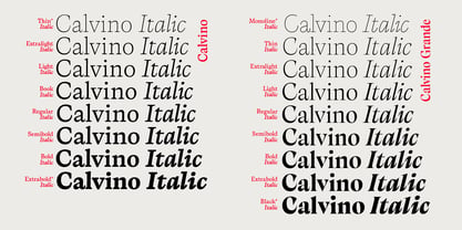 Calvino Police Poster 4