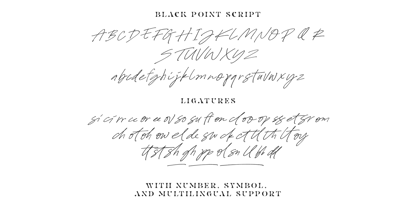 Black Point Font Poster 8