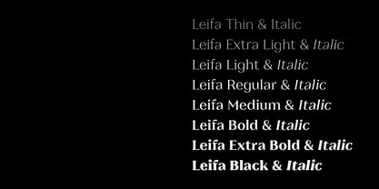 Leifa Font Poster 5