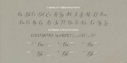 Cardigan Christmas Font Poster 9