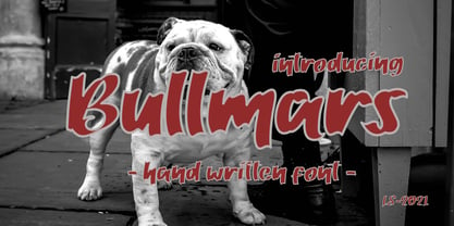 Bullmars Font Poster 1