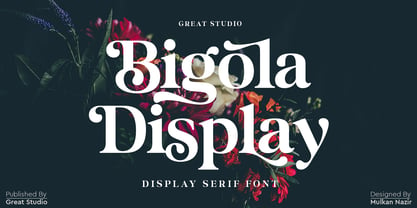 Bigola Display Font Poster 2