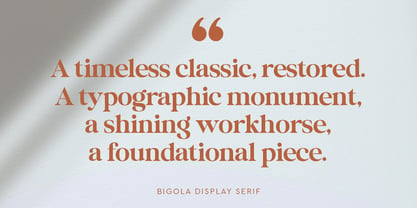 Bigola Display Font Poster 12