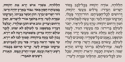 Hebrew Esther Tanach Fuente Póster 5