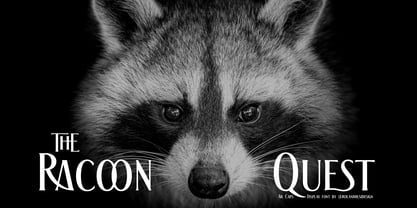The Racoon Quest Font Poster 1