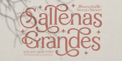 Sallenas Grandes Font Poster 1