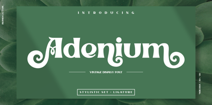 Adenium Font Poster 1