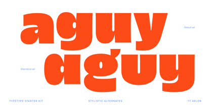 TT Arlen Font Poster 14