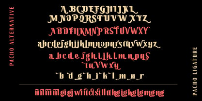 Pacho Font Poster 8