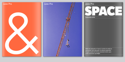 June Pro Font Poster 4