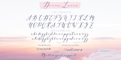 Donna Lucia Cyrillic Font Poster 8