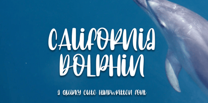 California Dolphin Font Poster 1