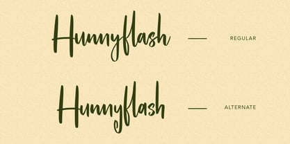Hunnyflash Font Poster 3