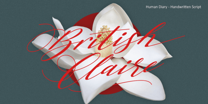 Human Diary Font Poster 8