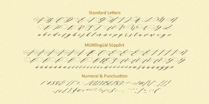 Human Diary Font Poster 10