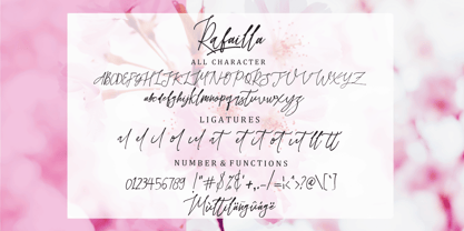 Rafailla Brush Script Font Poster 10