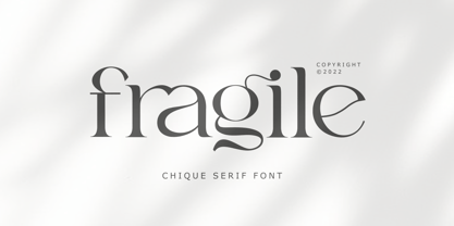 Zn Fragile Font Poster 1